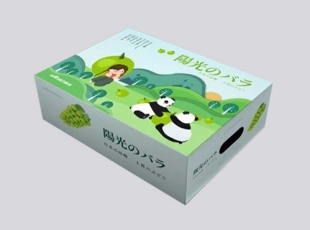 汨羅瓦楞彩箱彩盒